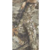 CCS X Realtree Griptape - Edge